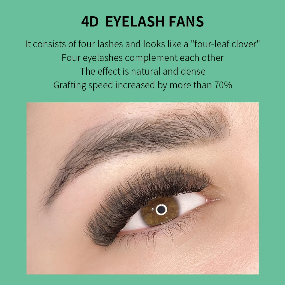 GLAMLASH 4D W Shape Eyelash Ex - Eyelash Extension Human Hair 评论和价格