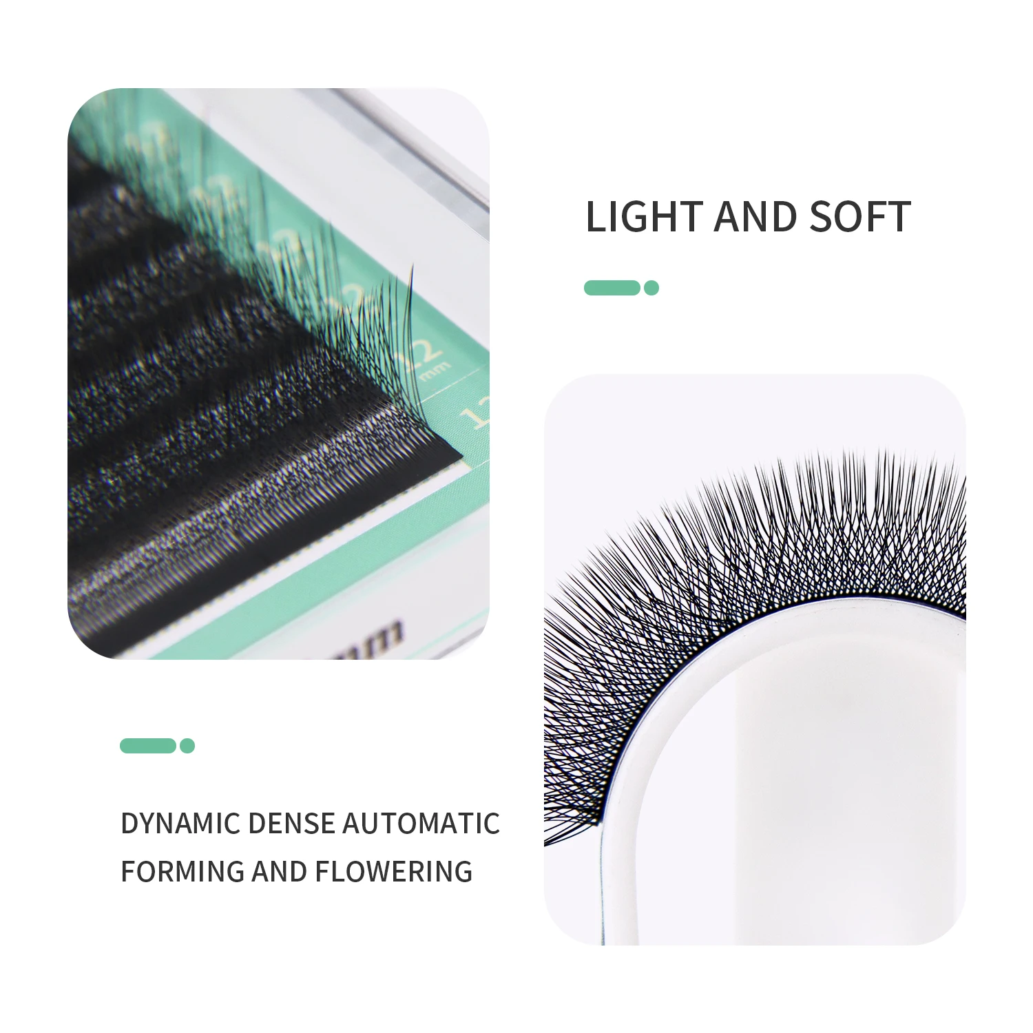 GLAMLASH 4D W Shape Eyelash Ex - Eyelash Extension Human Hair 评论和价格