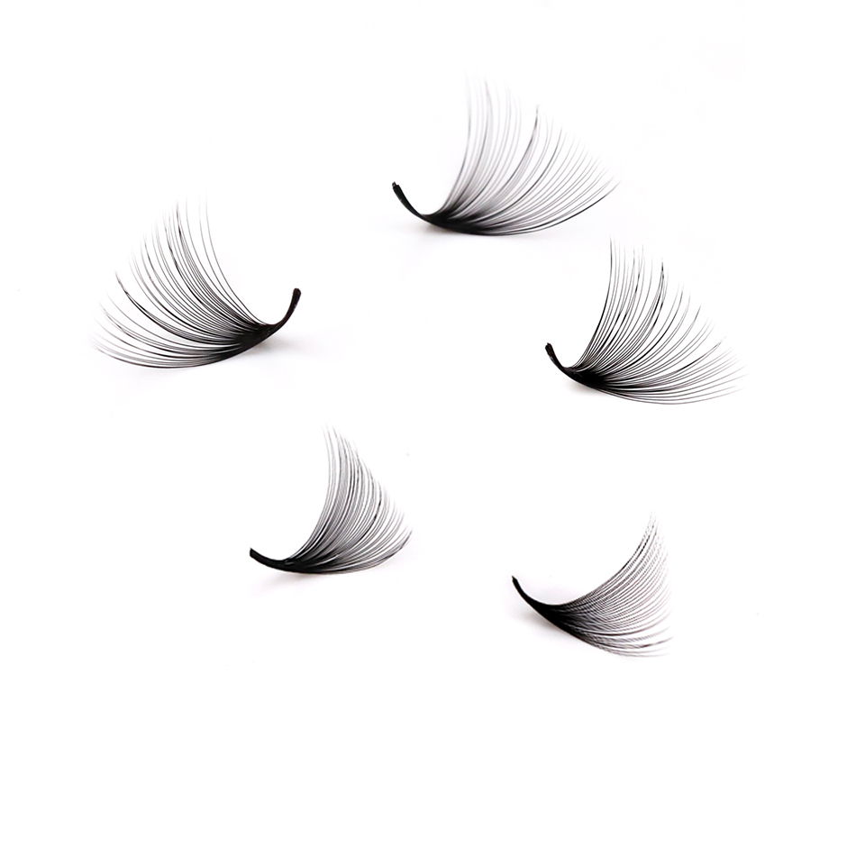Lashprofessor XL Tray 3D 4D 5D - Eyelash Extension Russian 评论和价格