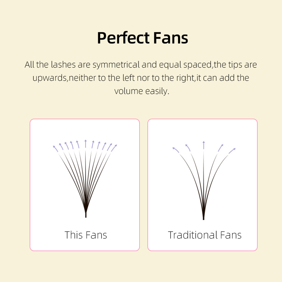 Lashprofessor XL Tray 3D 4D 5D - Eyelash Extension Russian 评论和价格
