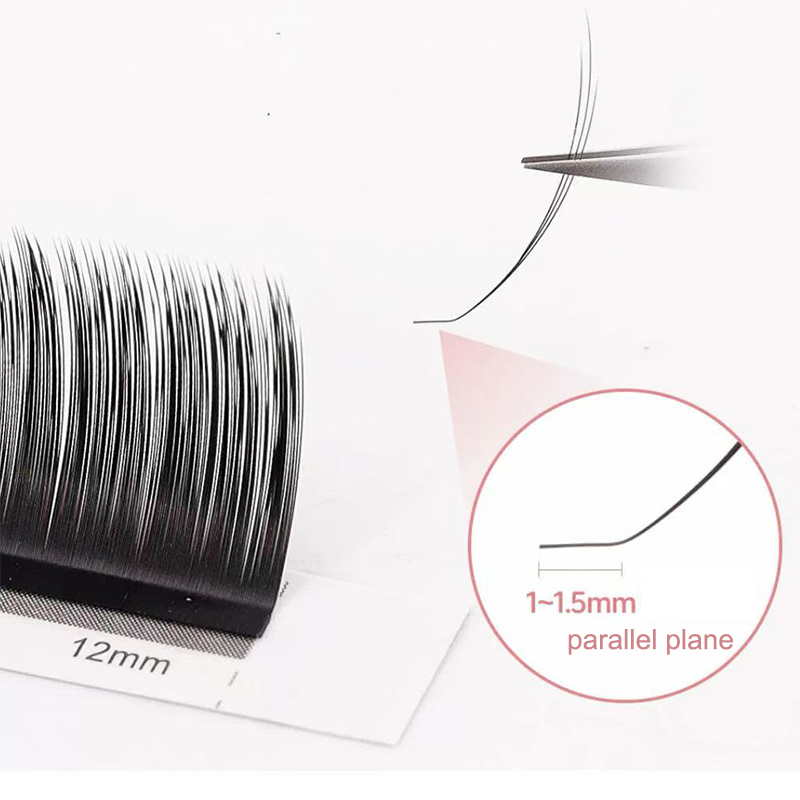 dream ballet Camellia Lashes w - Eyelash Extension Russian 评论和价格
