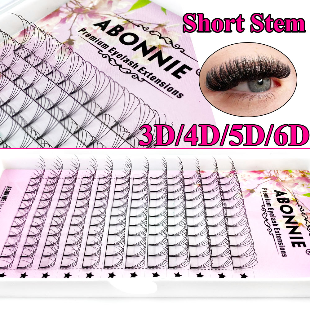 Abonnie 6D Narrow Fan Premade  - Eyelash Extension Russian 评论和价格